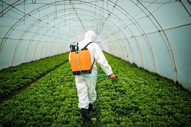 Best Commercial Pest Control Services  in Northport, NY