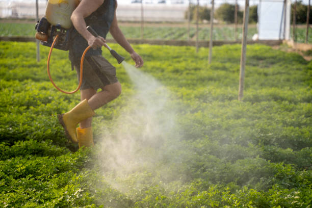 Best Wasp Removal Services  in Northport, NY