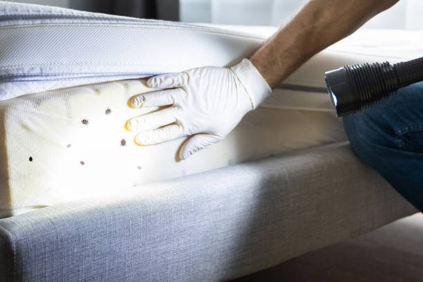 Best Best Pest Control Companies  in Northport, NY