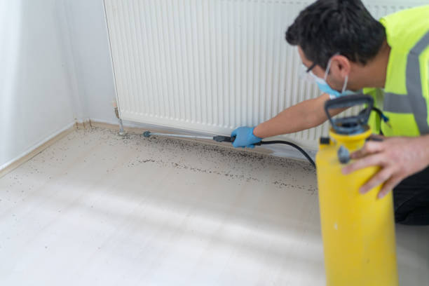 Wasp Removal Services in Northport, NY